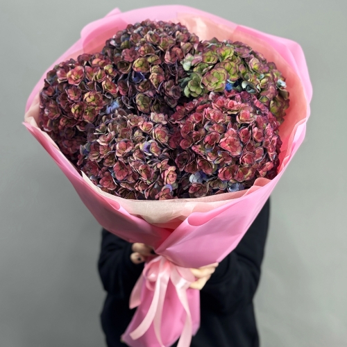 Букет из 5 космических Голландских гортензий в Протвино