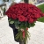 Букет из 101 красной розы (90 см) в Протвино