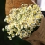 Букет из 9 ромашек танацетум в Протвино Букет из 9 ромашек танацетум в Протвино