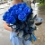 15 синих LUX роз Эквадор (70 см) в Протвино