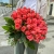 Букет 51 роза коралл (60 см) в Протвино