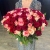 Букет 151 роза красный микс (50 см) в Протвино