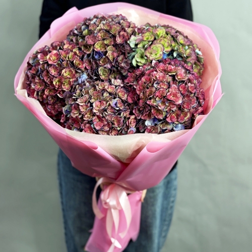 Букет из 5 космических Голландских гортензий в Протвино