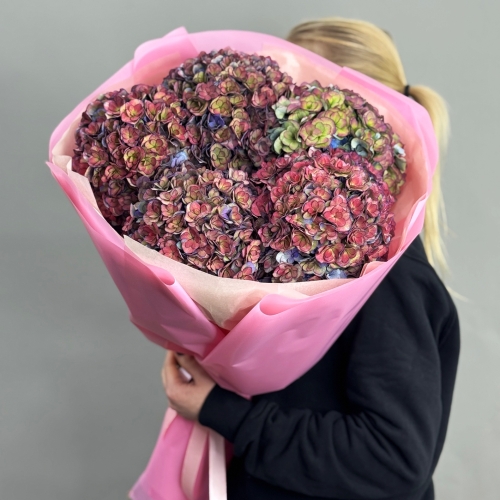 Букет из 5 космических Голландских гортензий в Протвино